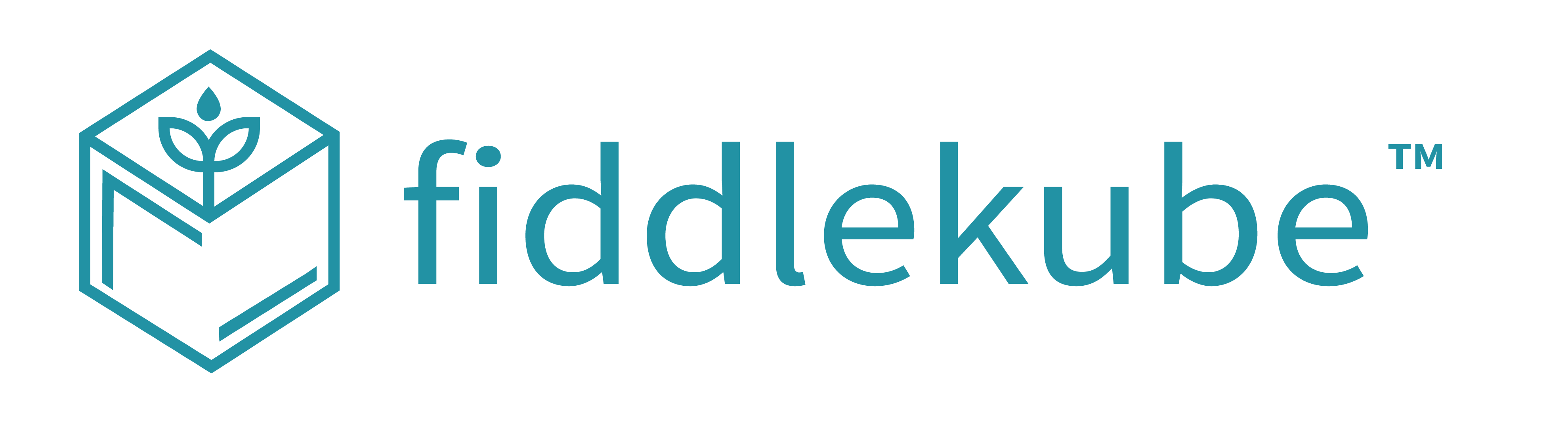 Fiddlekube Logo